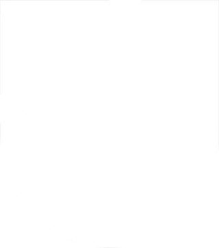 Zufolio logo